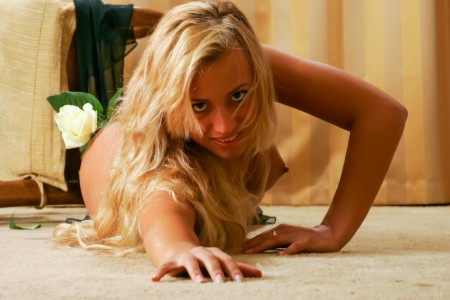 Чарующая элегантность Лори C 