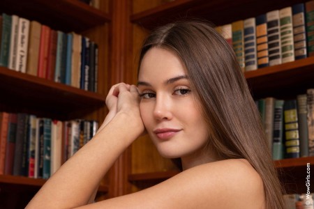 Изучение литературы: Sonya Blaze в библиотеке