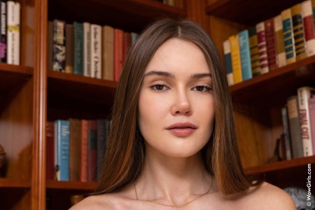 Изучение литературы: Sonya Blaze в библиотеке