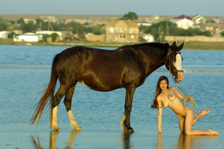 Улыбающаяся девушка на лошади в природе