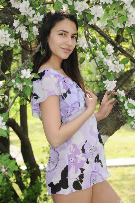 Сира Нери: Красота лета на природе